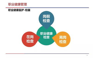 職業健康危害管理與健康管理咨詢實踐指南